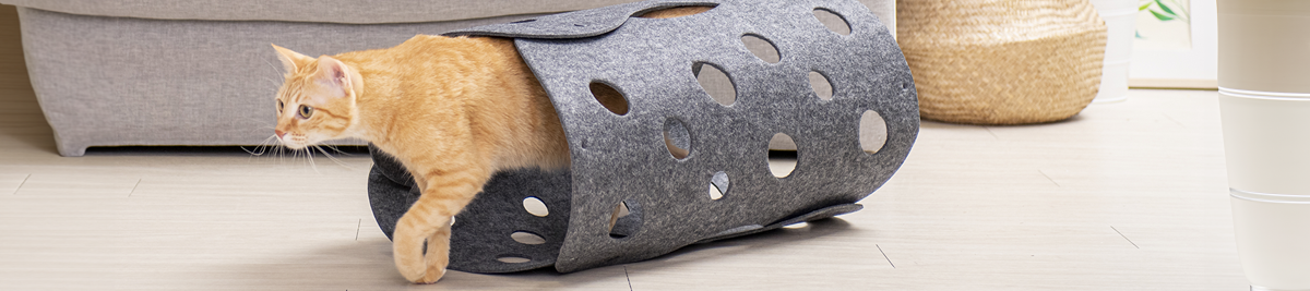 Cat Tunnel Burrowy