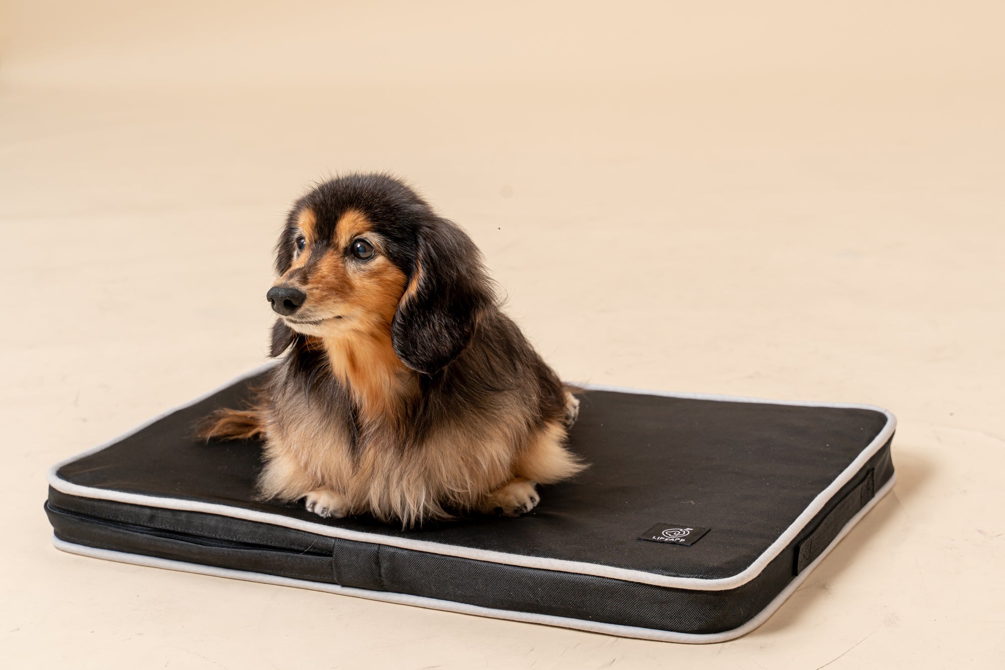 Orthopaedic Dog Cooling Bed - Black