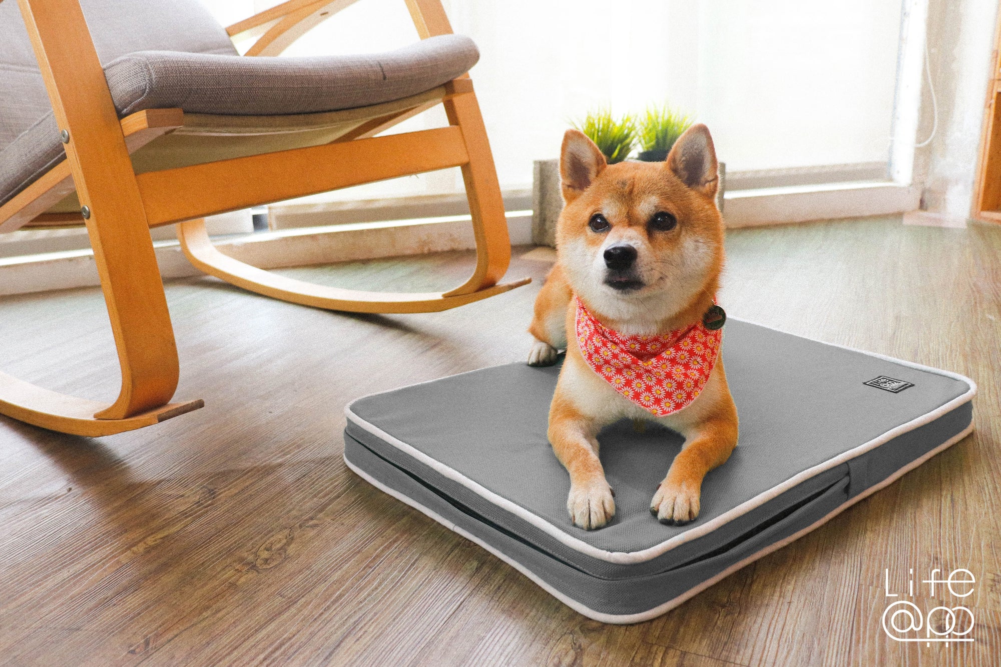 Orthopaedic Dog Bed Breathable - Grey