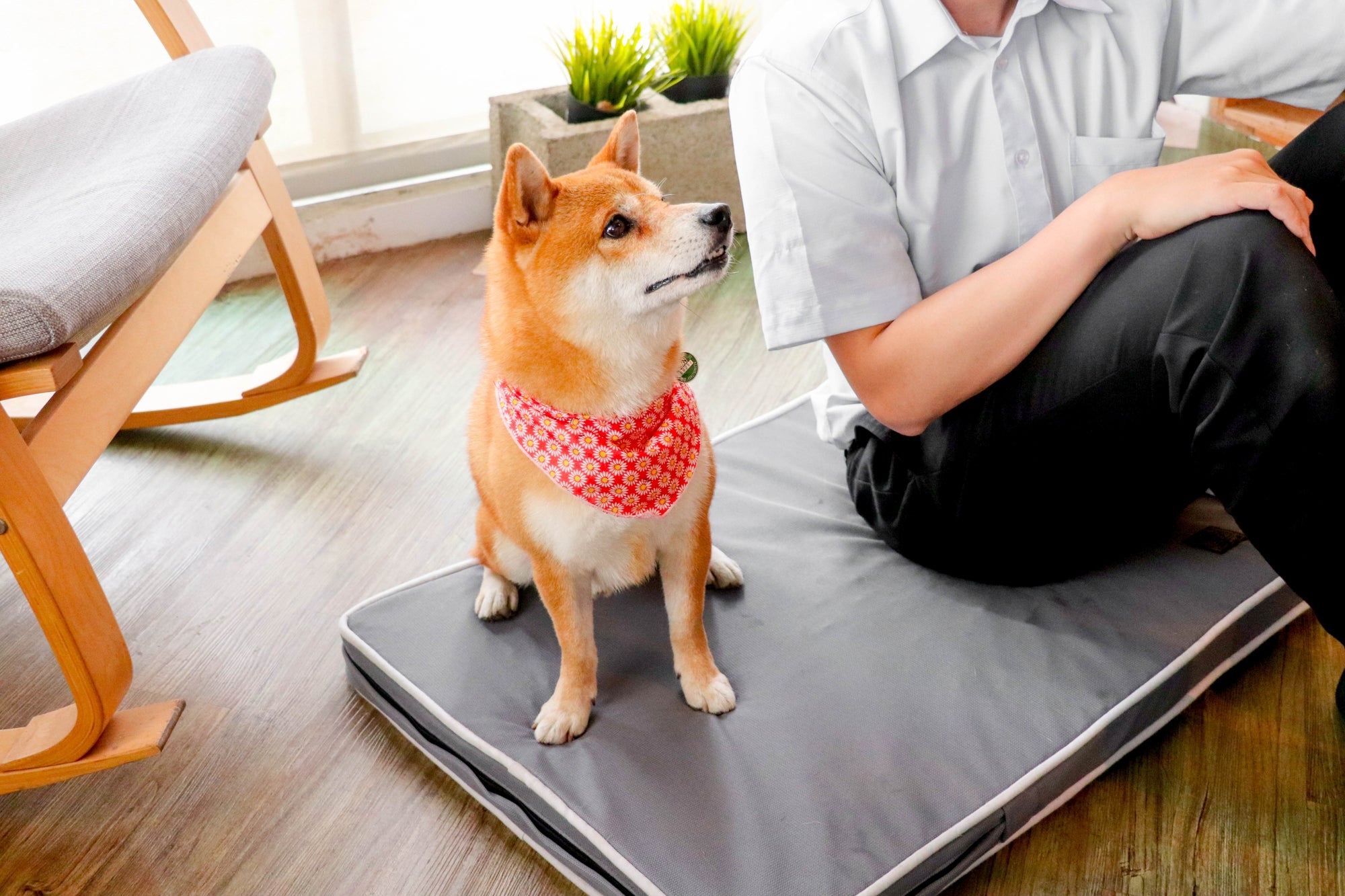 Orthopaedic Dog Bed Breathable - Grey