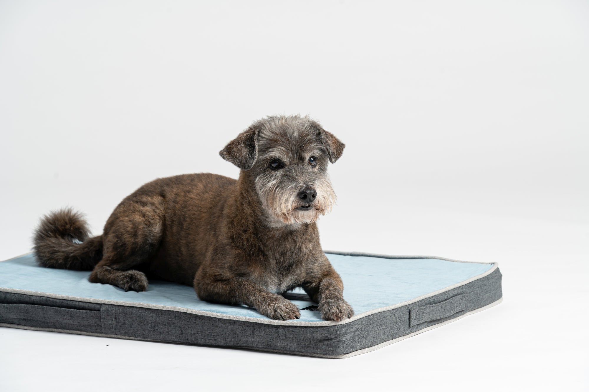 Orthopaedic dog beds