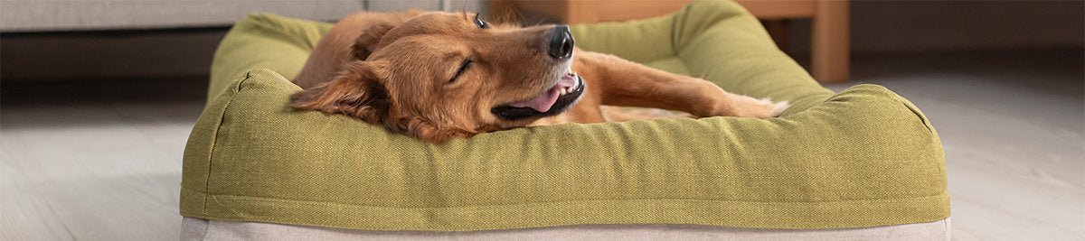 Orthopaedic Dog Beds