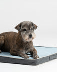 Orthopaedic Dog Flannel Bed - Blue & Grey