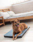 Orthopaedic Dog Flannel Bed - Blue & Grey