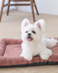 Orthopaedic Dog Mini Bed - Peach