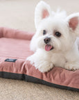 Orthopaedic Dog Mini Bed - Peach