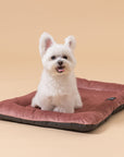 Orthopaedic Dog Mini Bed - Peach