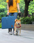 Orthopaedic Dog Foldable Bed -Blue - Water Repellent