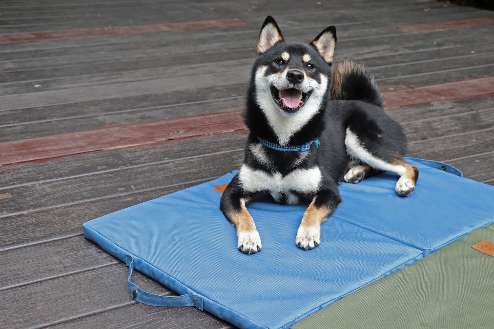 Orthopaedic Dog Foldable Bed -Blue - Water Repellent