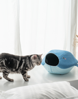 Cat Cave Marine Whale