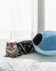 Cat Cave Marine Whale