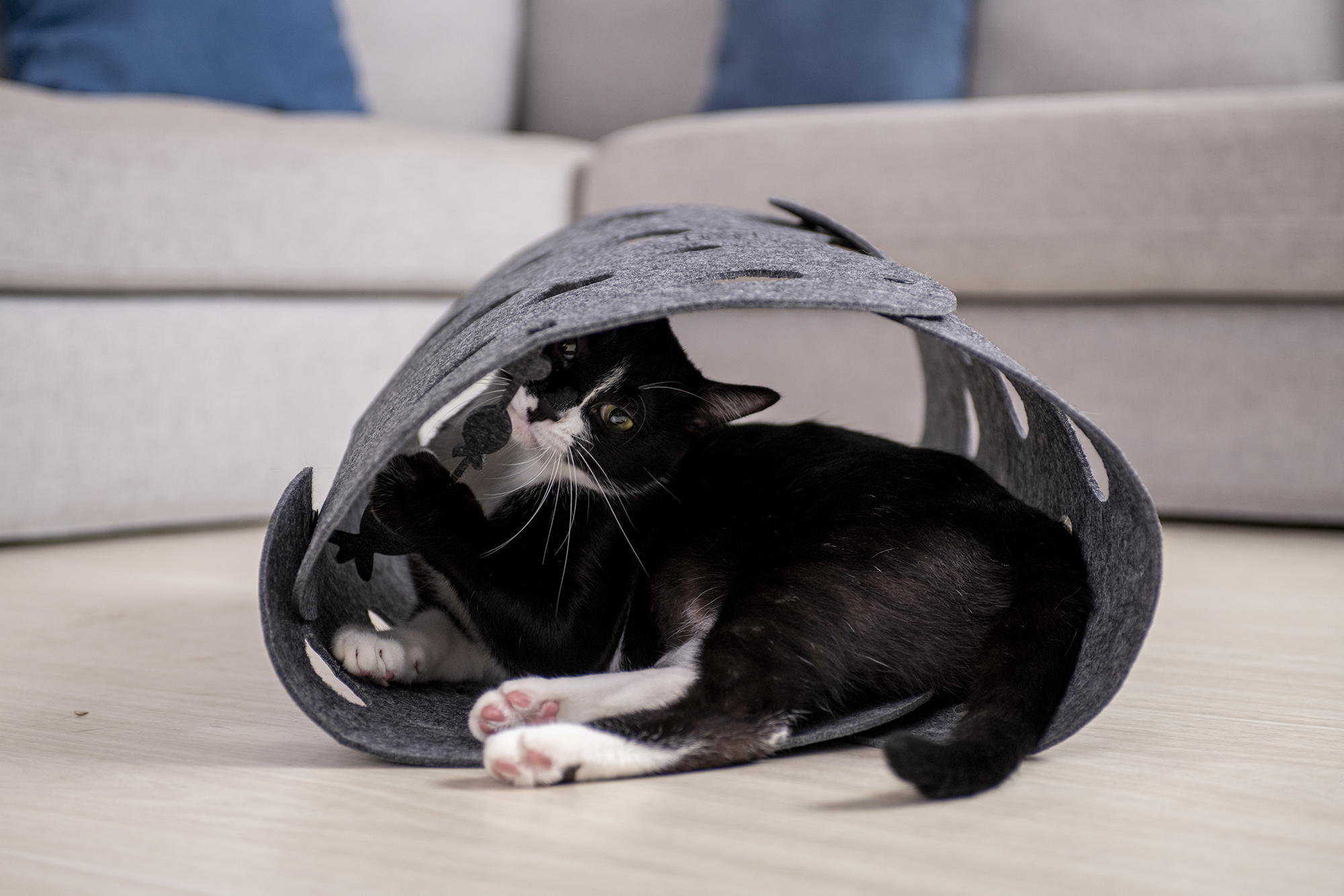 Cat Tunnel Grey